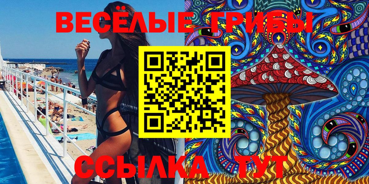 Нижнекамск  Галлюциногенные грибы Psilocybe  Вход с VPN  Псилоцибиновые грибы Magic Shrooms 